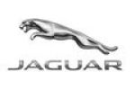 -Jaguar